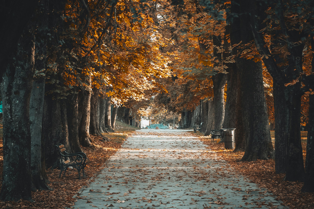 Plastična hirurgija | Plastična hirurgija Osijek