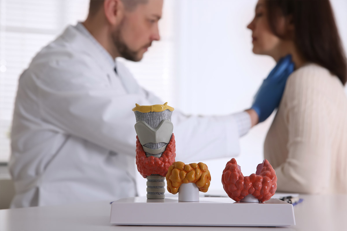 Plastična hirurgija | Endokrinologija